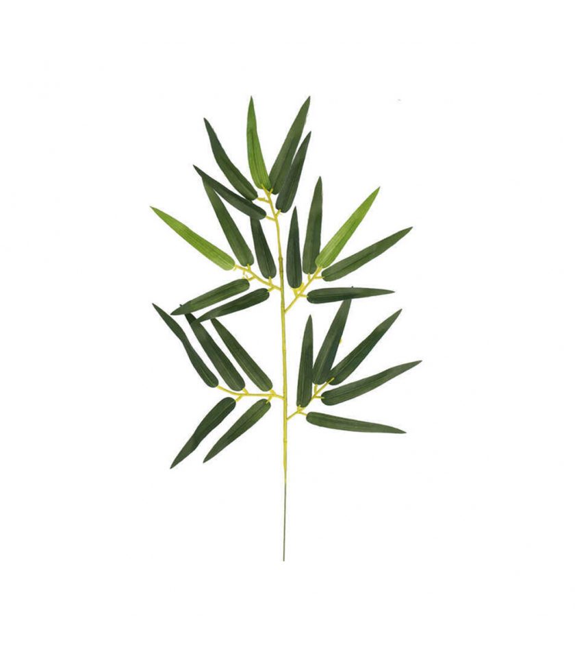 Bambu Dalı Küçük