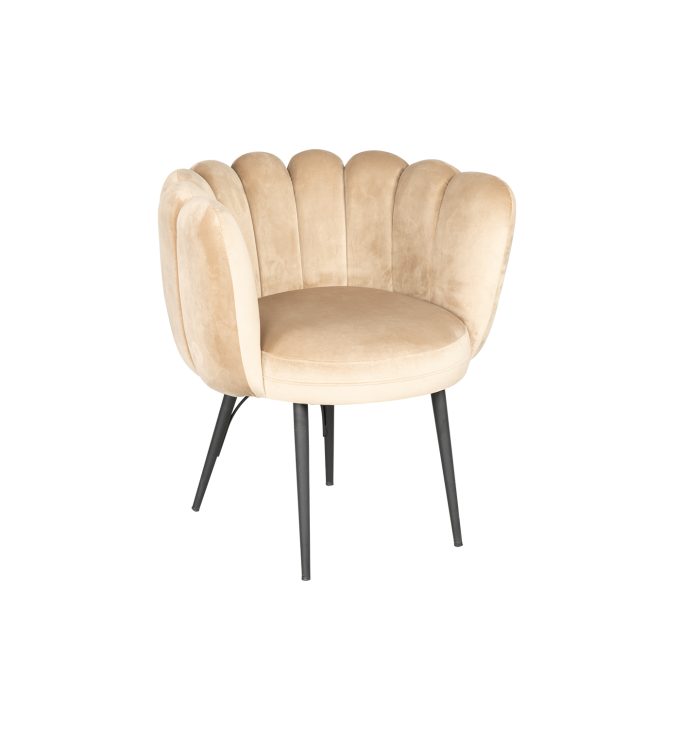 Daisy 01 Kollu Sandalye