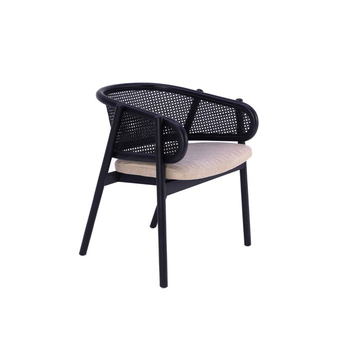 Pulse 01 Kollu Sandalye